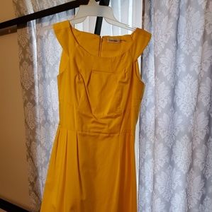 Calvin Klein Sumner dress